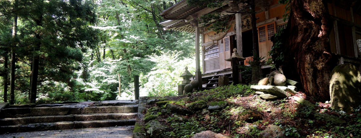 ŏnȂƍsȂIR`l͖{C̉уp[X|bg