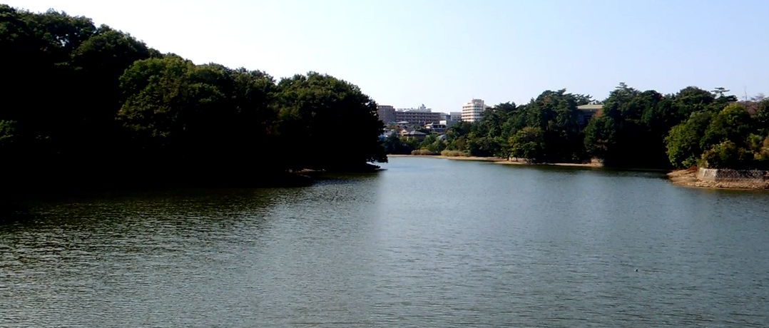 }jAbNȓޗǊόI{ŌẪ_Ɖ\́u^Ғrv