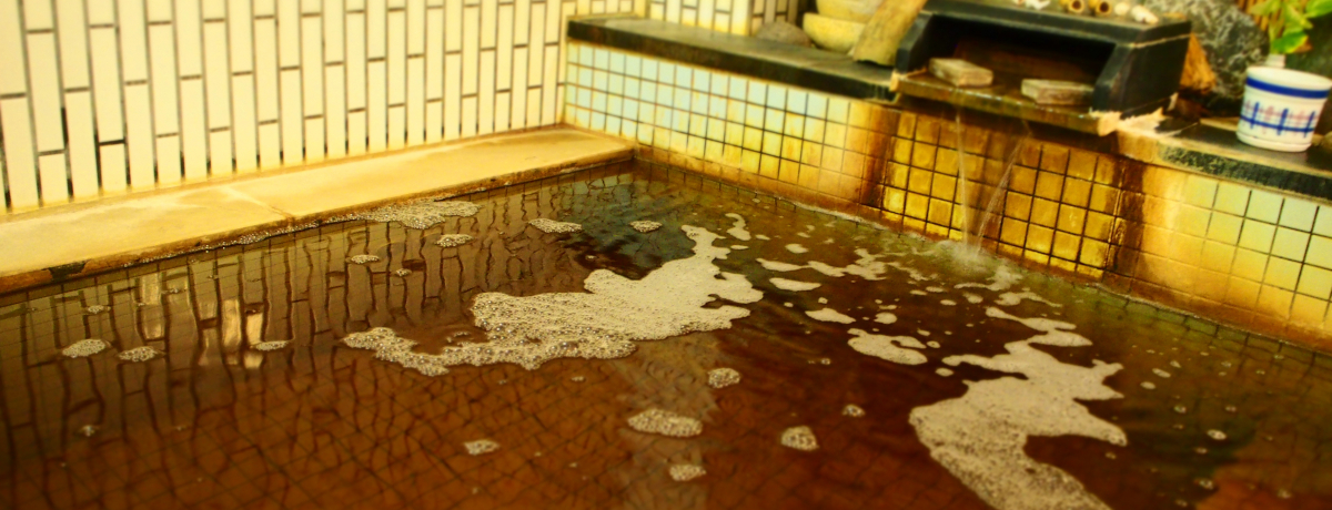 2��ނ̉�����y���߂�V�܁I�H�c���u���݊��m�z�e���v