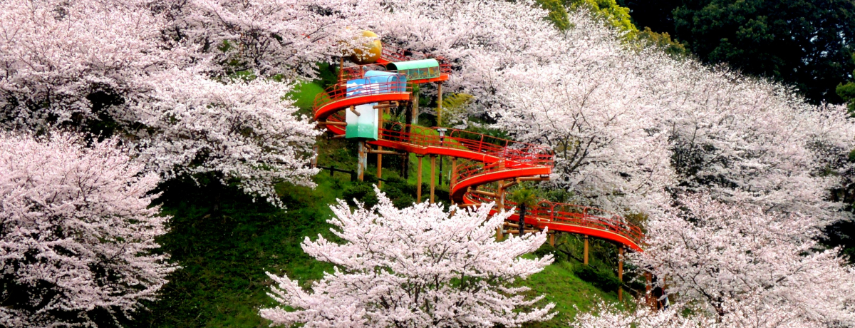 ̒䂪XC`Iûӂ邳ƌ فvŏt