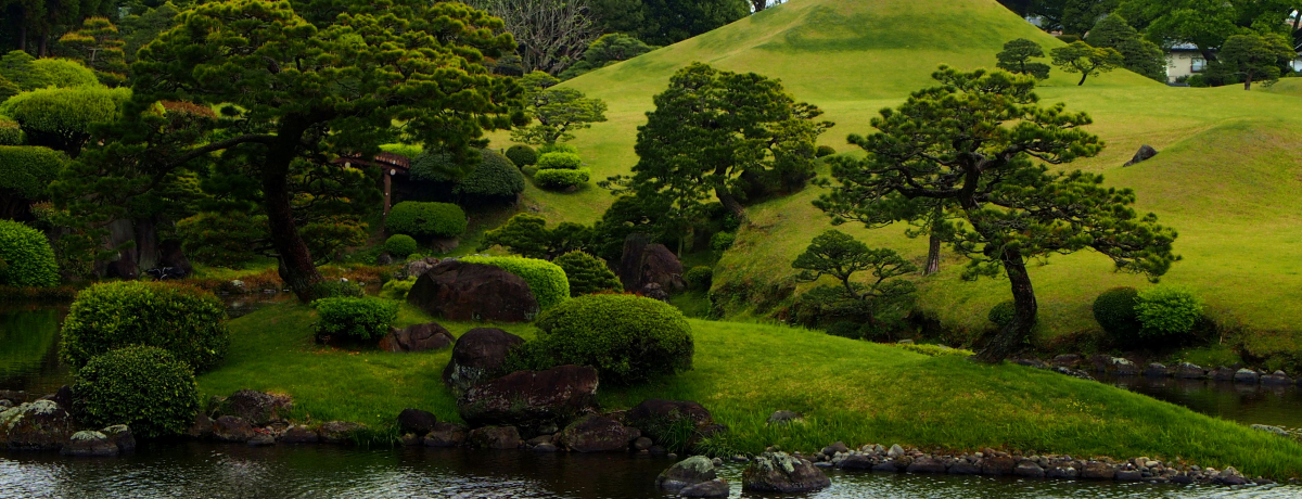 ��i�������ɂ������a�َq���p�N�b�I�F�{���u���O������v