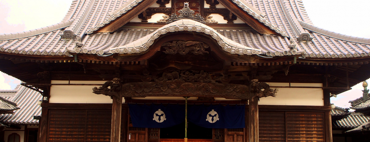 ul87ԎD vŖ͂ƋU𖞋i