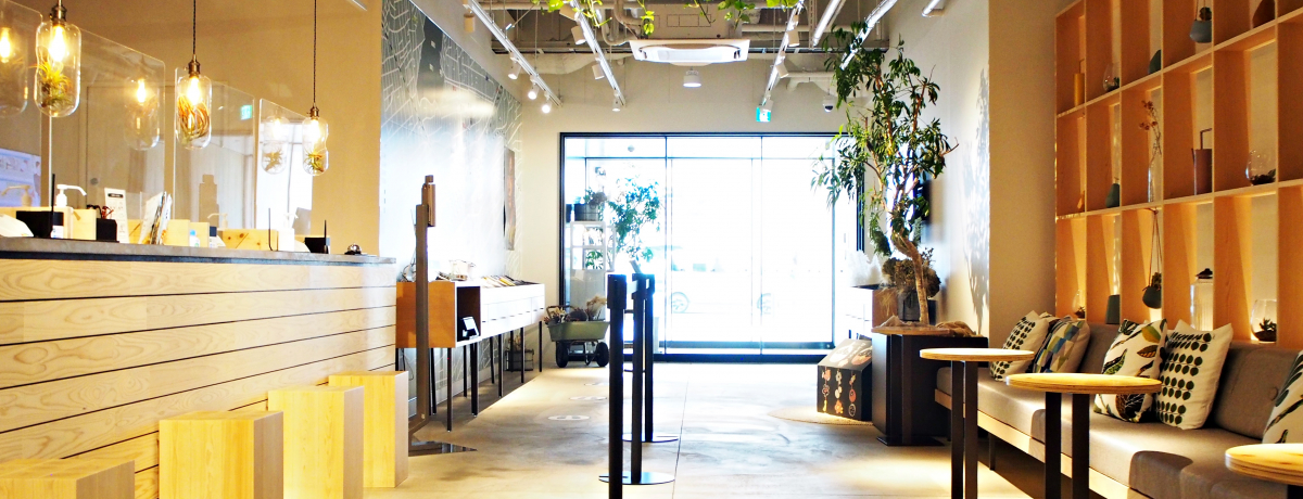 ʁut{ by xbZzeYvΖLȖ̃rWz