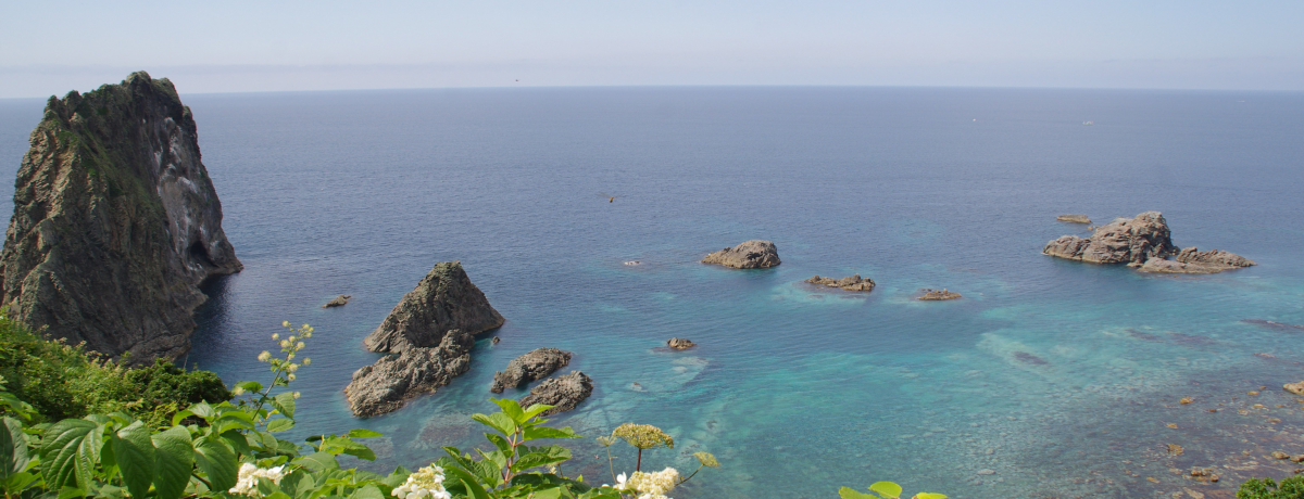 ϒOhCuŗK{̊όX|bgO4I