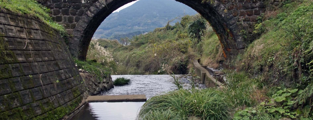 17��̑召�l�X�Ȑ΋��Q�����o�}���I�����ێs���m�����͒���ό��̌���