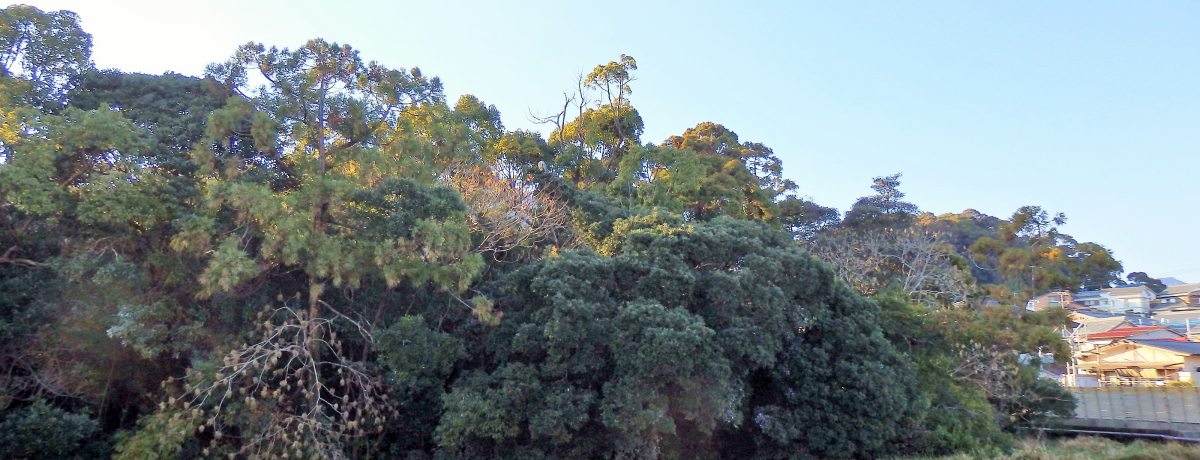 a̎Rw̃~Xe[X|bgIHnYu̐Xv