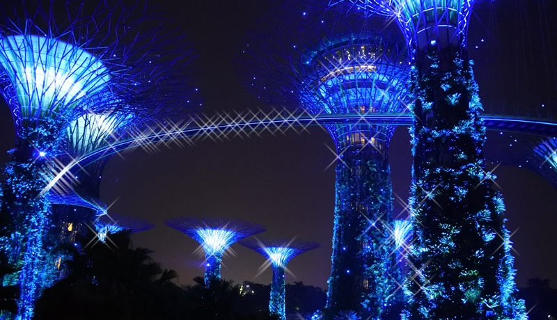 ���A�����ɗ��������!?�V���K�|�[���uOCBC�K�[�f���E���v�\�f�B�v�߂���߂����̃V���[