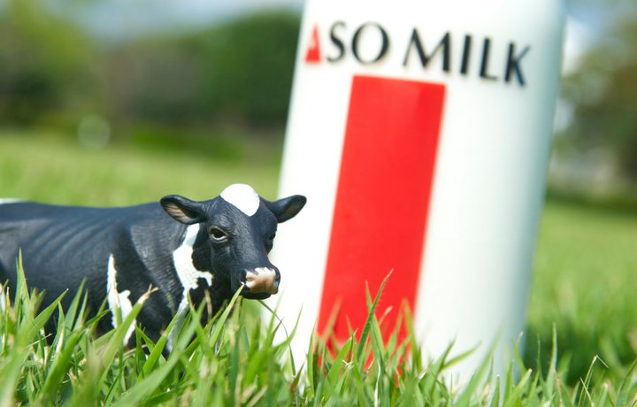 �ق�̂�Á`���A�O�c���uASOMILK�v�ŕ����x���I�H�u���h�~���N���[�h�v��u���h���C�u