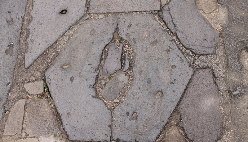 ����u�z�K�_�Ёv�͍����p���[�X�|�b�g�I�A�z�΂ɉ����ыF���