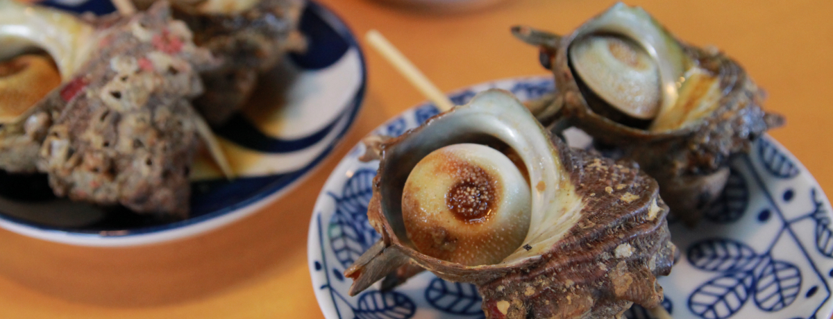 �g�n�[�g���h���Ɠ��Îs�u�g�˖��v�������̚�Ă��������������u�ȃX�|�b�g