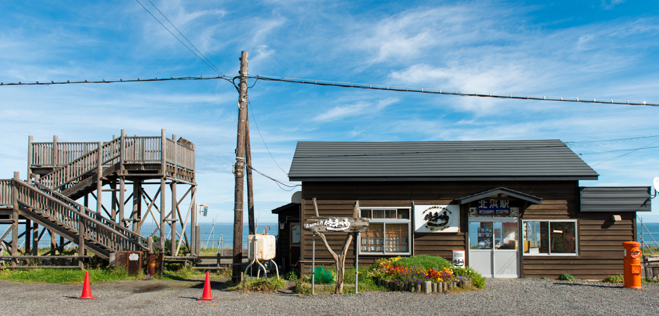 ՂؑwɁIԑsEklw̓Iz[cNɈԋ߂w