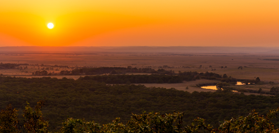 AHI׉W]䂩̗[i͑̂ސiI