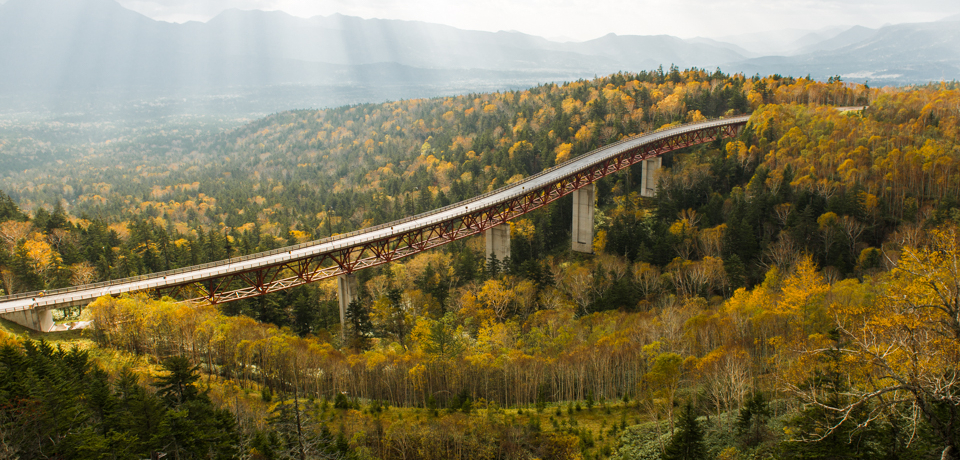 �����̋��勴�I�k�C���E�O�����̎��C���[�h�Ɍ����i�Ɛ���