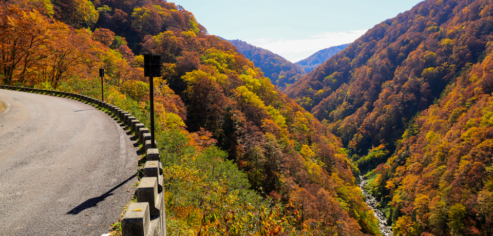 gt̒IxR̔鋫ELѓő厩RihCuI