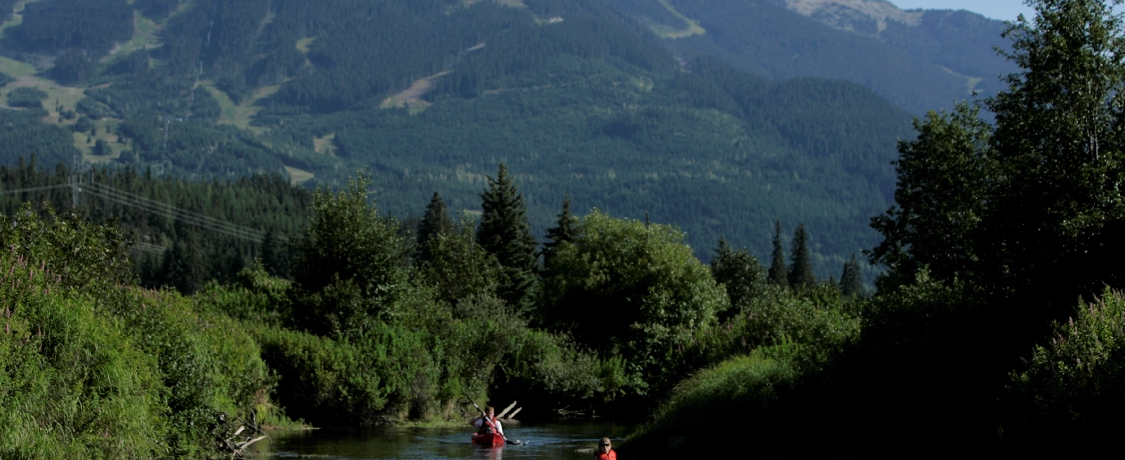 kčő̃Xm[p_CXIPNy߂Ji_EEBX[̖