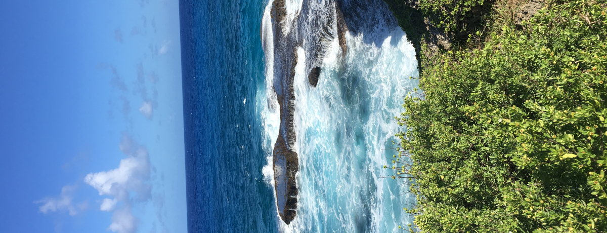 �O�A���̂����ۂ�߂܂��ɂ������I�u�O�A�����v�m��ꂴ��`���X�|�b�g�x�X�g�R�I