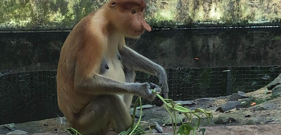 qAōsI{lIER^Liô߃X|bg5I