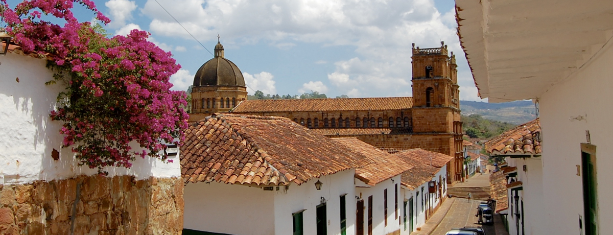 �m�X�^���W�b�N�I�R�����r�A�ň�ԉ����X�u�o���`�����v�ŊX�U��