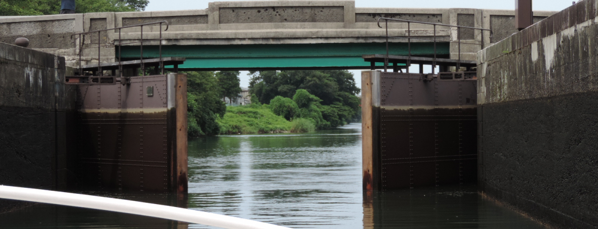 kVJʂɕxR̐VEx^̓N[YI