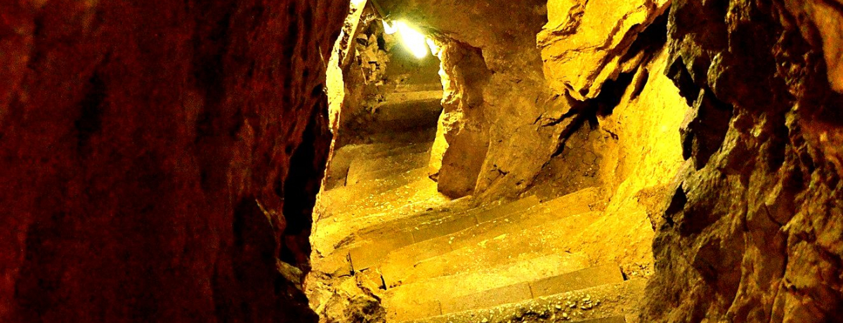 ����ȋ����̗��Ƃ����I�k��B�u�����ߓ����v��T��