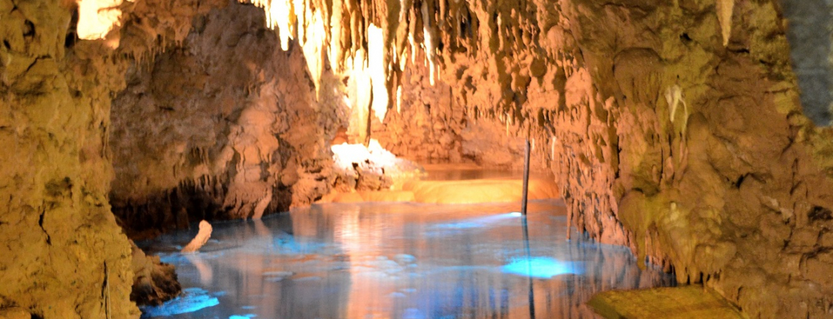 ���m��̑s��Ȍi�ςɊ����I����E�����Ȃ탏�[���h�u�ʐ򓴁v