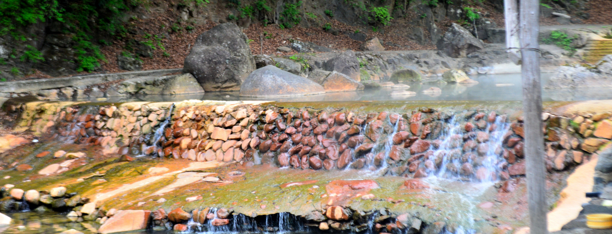 �����Ō���|�������ɓ����Q�n�E�Ȗ؂̉���X�|�b�g�S�I