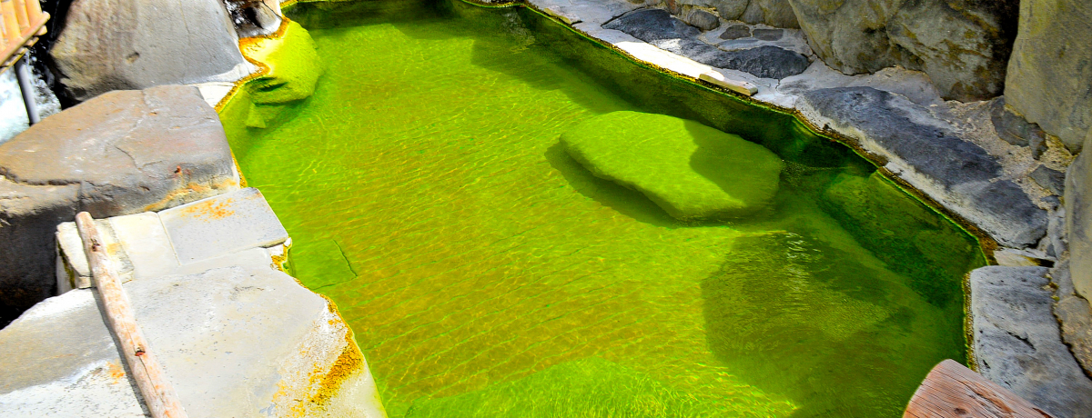 oXNł͂܂IuF̓zev̒N₩ȗ΂̉I