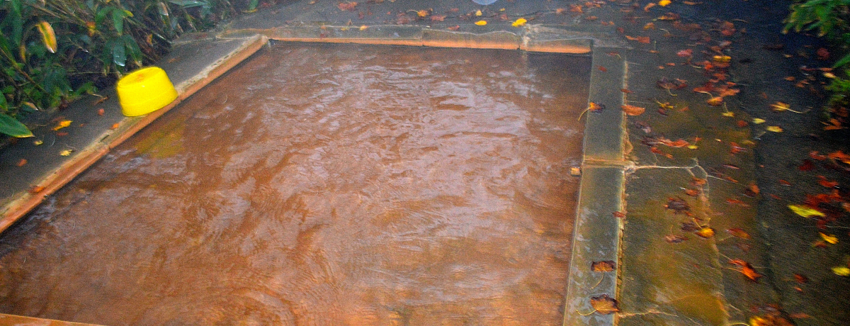 gt̖͉܂IVE։uv̐ԂɐZ낤I