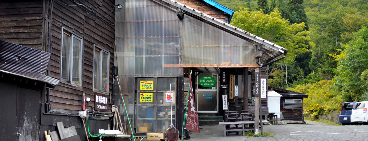 w̉򂪏WIbcS[hC̔铒ꌬhSI