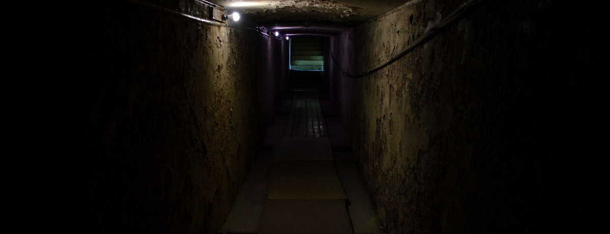 ÂʘH̐̋ɏ㓒IȖ؁Eߐ{{u_Ctv