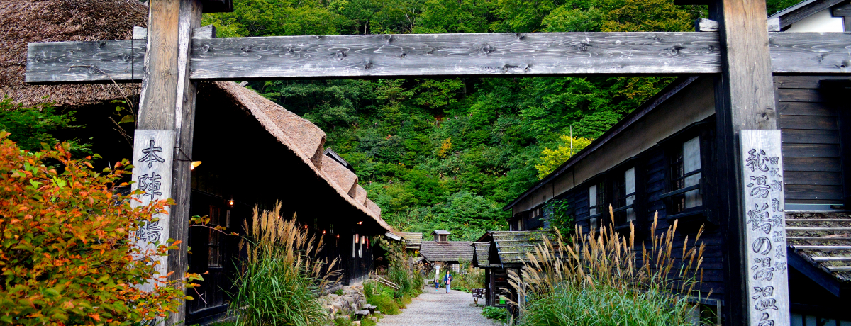 ̔铒EHcu򋽁vŐ΂ɓ肽5II