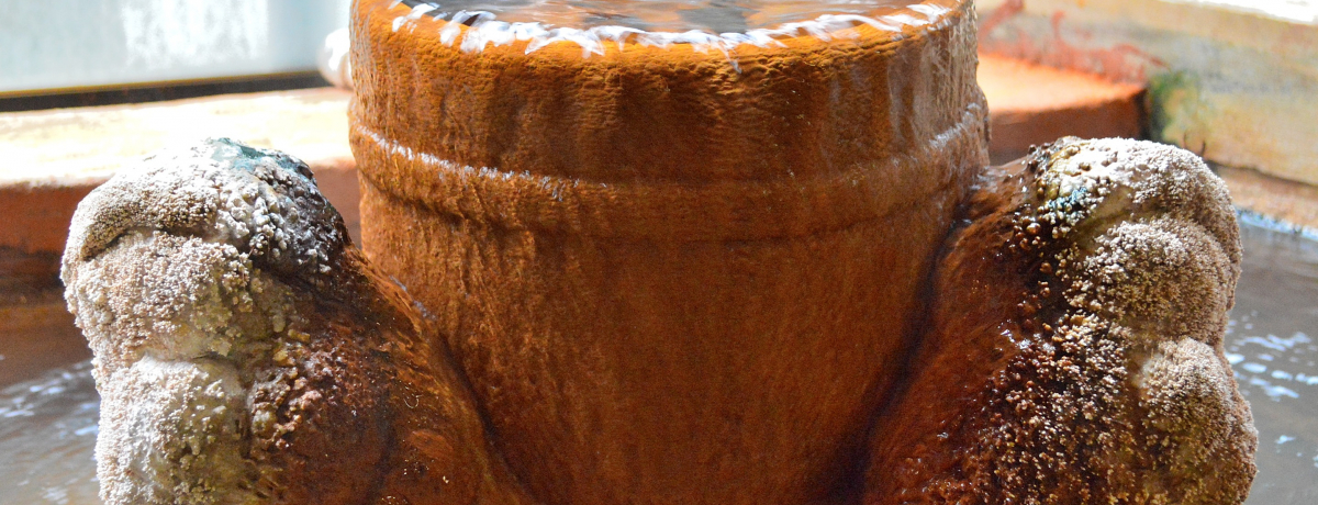 Vg̉H牷򂪃hohoHEV쉷u炬v