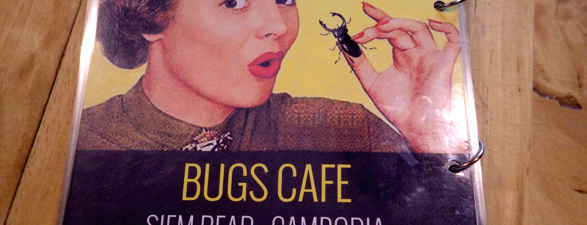 ȂHׂ!?VFAbv̂ȒXuBugs Cafev