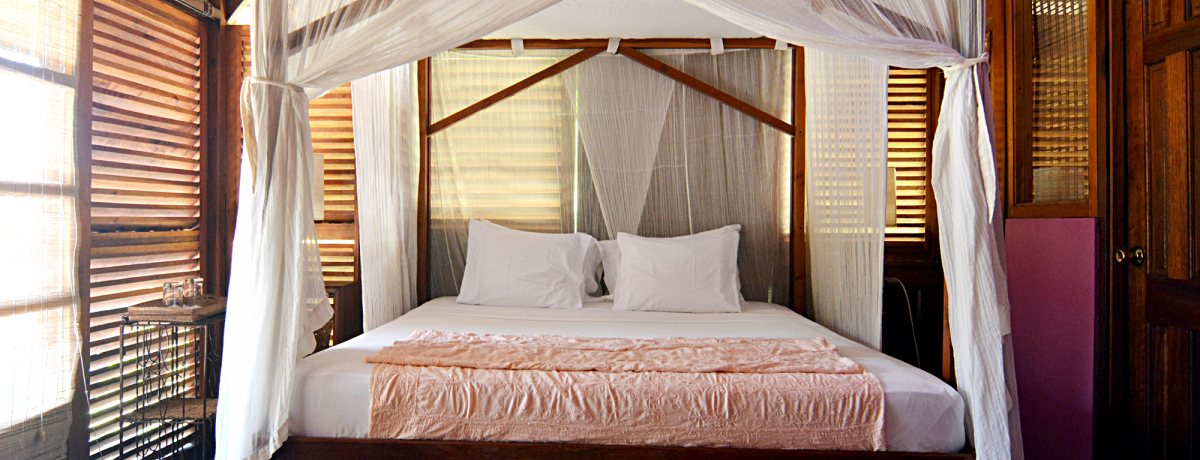 �I�T�K���̎Y���ɗ������I�g���j�_�[�h���u�A�J�W���[�z�e���v�ŃJ���u���]�[�g�ȋx����