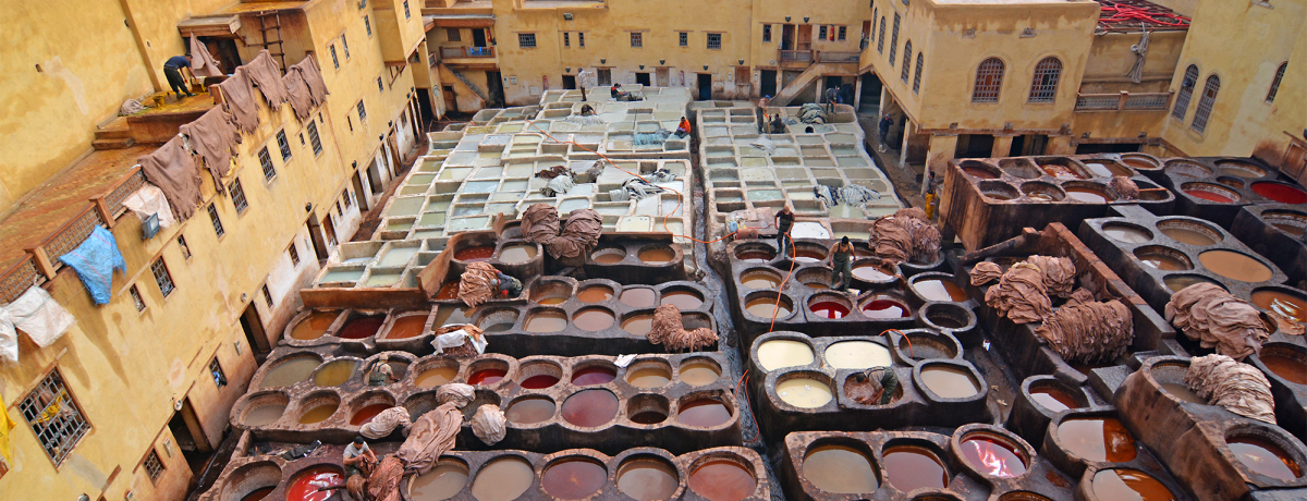 �܂�ő傫�ȊG�̋�p���b�g�I�����b�R�u�^���l���E�V�������v