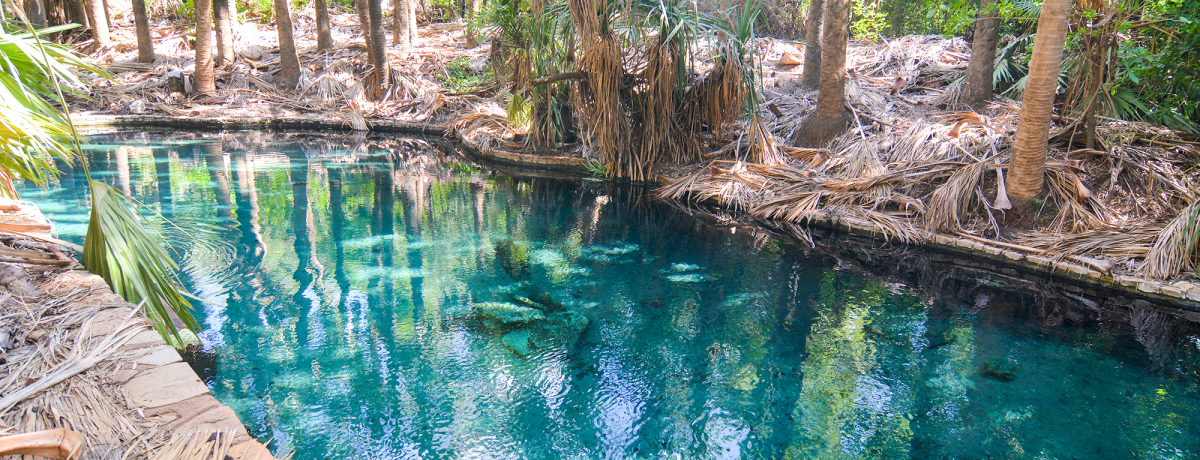 I[XgAExQ́u}^JvŃtbVI