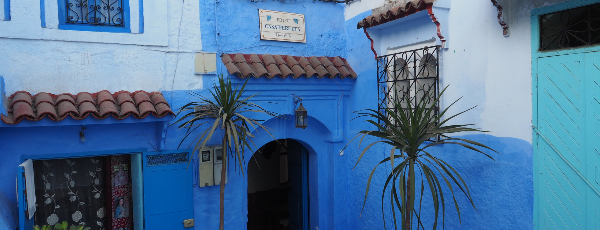 �����b�R�̐��X�V���E�G�������\�ł��郊�A�h�u�J�[�T �y�����[�^�v