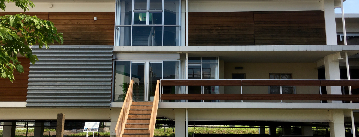 ������A�p�[�g�ɐ����H�c�n�}�j�A�����́u�����q�E�W���Z����j�فv