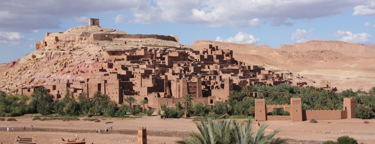 �L���f��⃉���NPV�̃��P�n�I�����b�R�̐��E��Y�u�A�C�g�E�x���E�n�h�D�v