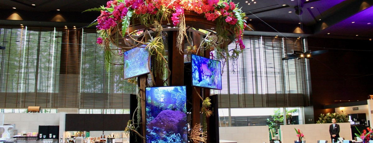 ȑꂪubtFɏo!?ivXzeunviv