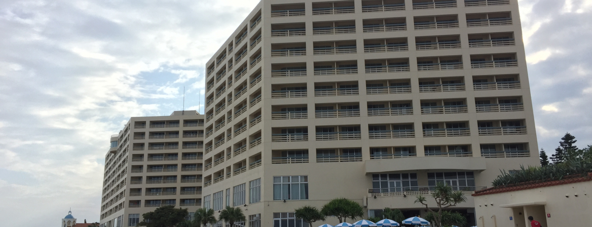 �Ƒ��A��ɑ�l�C�I����u���U���V�[�p�[�N�z�e���J���x�C�v