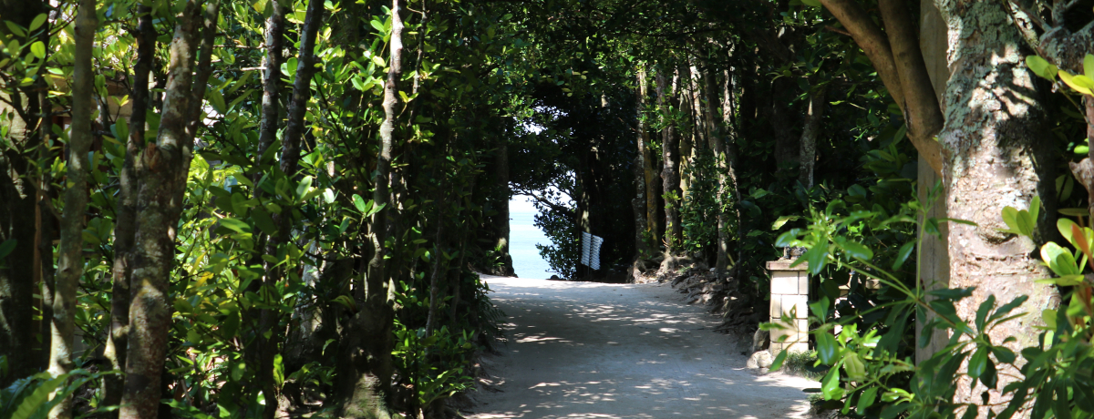 kutNM؁v͐lC㏸̖₵X|bg