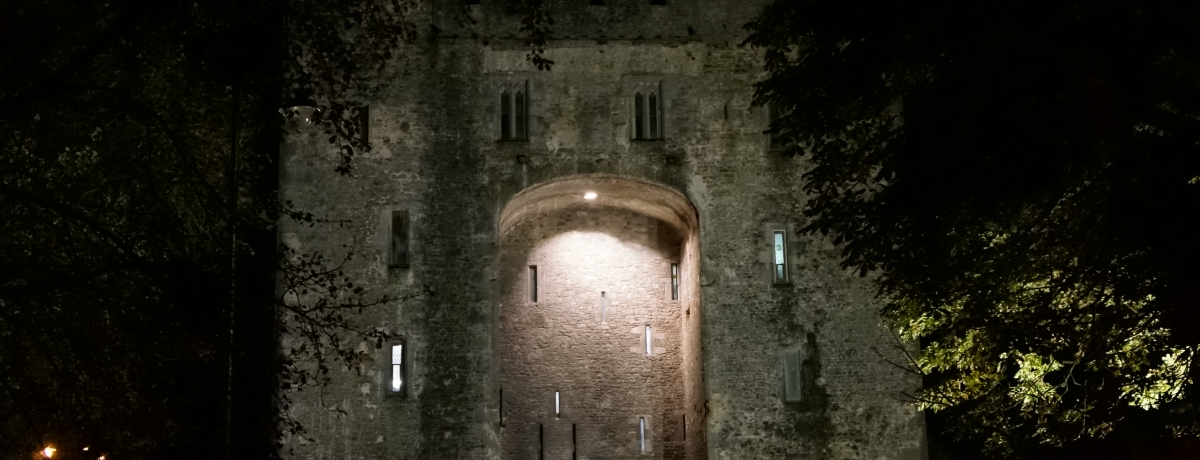 ̉ɂ悤IAChE{beB̔ӎ`