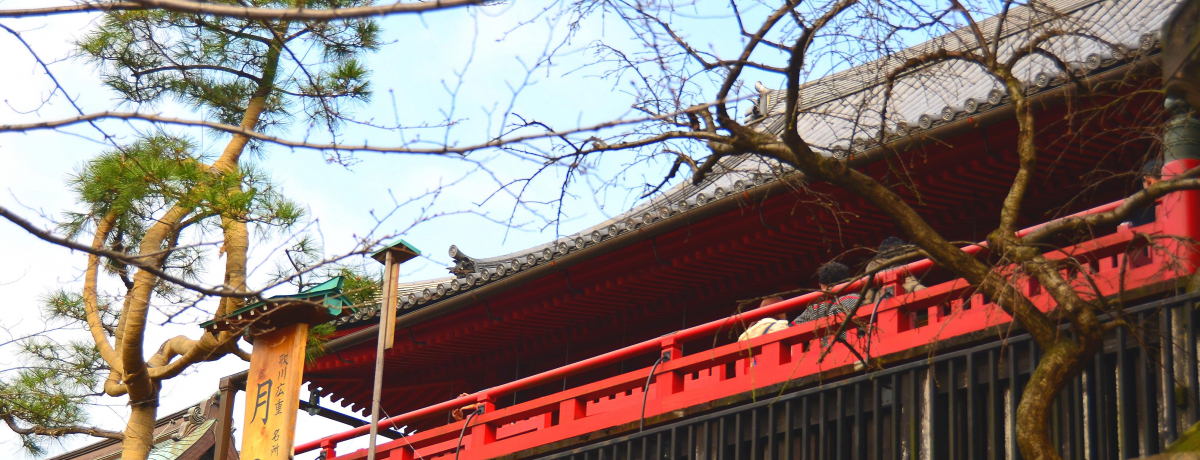 Fʂȁu䑢v̌䓰 ̐lCX|bguωv