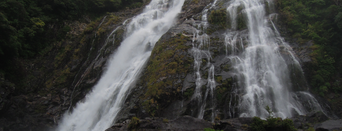 �ꕶ����������Ȃ��I���v�����h���C�u�Ŗ��i���悤