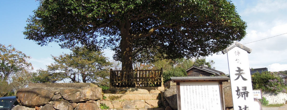 ͋R́gvwցh͕KI]sud__Ёv