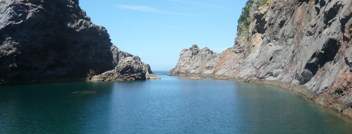 ���t�������鋫�̐�i�I�����̗����E�_�Ó��́u�痼�r�v���_��I