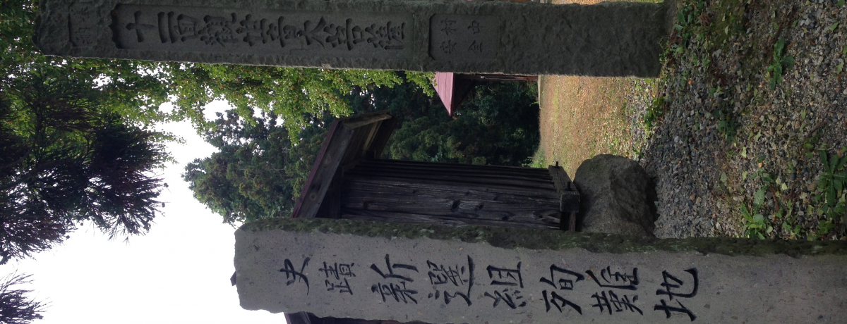 ÎᏼŐVIg䂩̒nI{̖߂VIg̐l悤