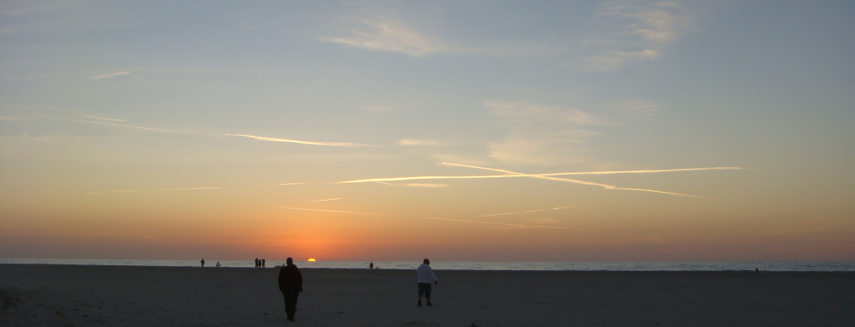 t_̌!?TZbgNAEH[^[r[`