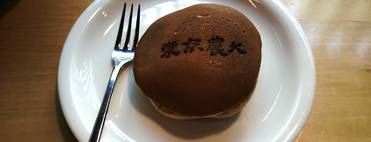 _EcJLpXuHƔ_̔فvŊwтƖ̊I